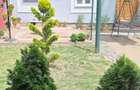 Casa 4 camere de vanzare - Oradea Velenta - 8