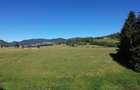 Teren in Bucovina! La Munte! De vanzare! 0727817187 - 4