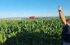 Teren 1339.64 mp Rediu str. 1 Decembrie - 1