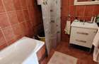 Proprietar vand casa in Ianova, 20 km de TImisoara - 1