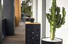penthouse nou langa Stejarii Country Club
