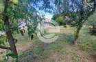 Teren intravilan Sura Mare - 578 Mp - PUZ aprobat si toate u - 1
