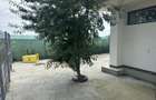 Casa - Stefanesti de Jos - Dascalu - 638 Curte - Complex Rezidential - 18