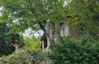 Casa individuala, cu Teren de 12 ari, Str Principala Voiniceni - 12