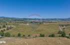 Teren Bran -Sohodol, Strada La mesteceni, 6900mp