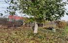 Casa Plopi 200000 euro negociabil - 1