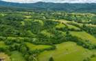 Teren ideal recreere/conectare cu natura/zona Fagaras/achitare in rate