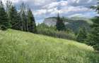 Teren Intravilan la Munte cu vedere panoramica - 1
