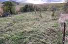 PF Vand teren Sat Pata comuna Apahida 833mp + 150mp drum acces