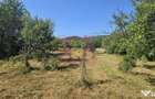 Teren intravilan de vanzare 3375 mp in Brebu - Brebu (Prahova)