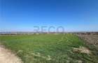 RECO Teren extravilan, zona Cheriu, 5375 mp, utilitati in zona, cu pos