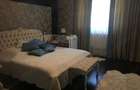 Casa de vanzare cu domeniu generos de 5.000 mp (50 ari) Geoagiu, Hunedoara - 6