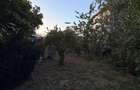 Casa 3 camere + teren 400 mp | Piata Mures, Sector 1 Bucure?ti| Terasa - 4