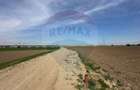 Teren 545,000mp Dragomiresti-Vale - 17