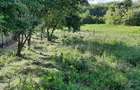 Teren de 1780 mp, în Călinești