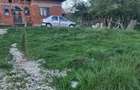 Casă cu 4 camere cu Teren 5108 Mp în Poienari (Poienarii de Muscel) - 3