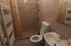 Vila moderna + casa renovata cu 2 apartamente si teren generos - Pal - 8