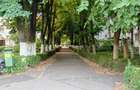 Apartament 2 camere Nord - 5