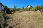 Teren si cabana de vacanta de vanzare in Fedelesoiu la 60.000 - 9