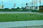 Apartament 2 camere Darwin Residence, Tunari