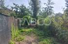 Apartament la curte 35mp 2 camere pivnita gradina str Magurii Cisnadie - 11