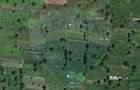 Teren intravilan de vanzare , 1000 mp, parcelabil, Islaz - 1