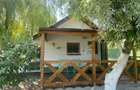 Inchiriere casa Somova, la 12 km de Tulcea - 8
