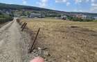 Teren intravilan 16.500mp 55euro mp deschidere de 82m la E60 - 2