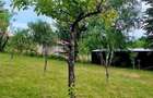 Casa de Vacanta Teren 2.952 mp Cerna Vaideeni Jud Valcea 70.000 E - 7