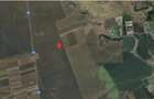 Teren extravilan cota parte 1/2 Alexandria, ID: R2814838 - 2