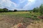 Teren intravilan in Banesti--925 m--40e - 13