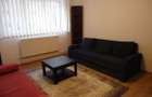 Apartament 1 camera Manastur, str. Padin, zona Piata Flora - 8