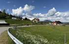 Vand Teren Intravilan Poiana Negrii jud Suceava (Bucovina) - 4