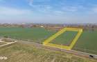 Teren pentru proiect de case in Buftea, cu deschidere la lacul Buciume - 11