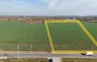 Teren pentru proiect de case in Buftea, cu deschidere la lacul Buciume - 7