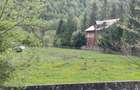 Vanzare teren LEPSA jud Vrancea - 4