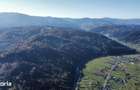 Vindem 53360 mp Bucovina - Vama