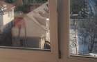 Apartament 2 camere- Craiter 