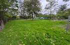 Vand teren Bolintin Deal - 7