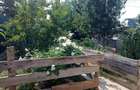 Urgent ! vand casa + teren in bolintin -vale - 6