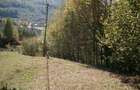 Teren intravilan 1500 mp pentru casa de vacanta - 2