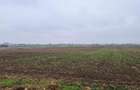 Teren intravilan de 515 mp, în Cihei - 4