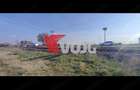Teren 10000mp-Sacalaz de vanzare - 3