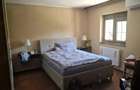 Vand casa Mandruloc constructie 2009 cu 450 mp utili pe 3.000 mp teren cu gazon si livada - 13