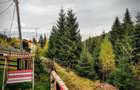 CABANA DE VANZARE Muntele Baisorii, zona Izvoare - 1