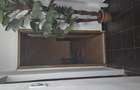 Vand apartament cu 3 camere 73 mp Braila - 2