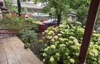 Apartament 2 camere de vanzare in Sinaia - 3