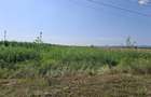 Teren intravilan 1600 mp, zona Nicolae Balcescu - 11