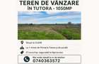 Teren in Tutora, Iasi - 3