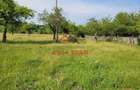 Teren intravilan in Campina, 1490mp--26.820e - 7